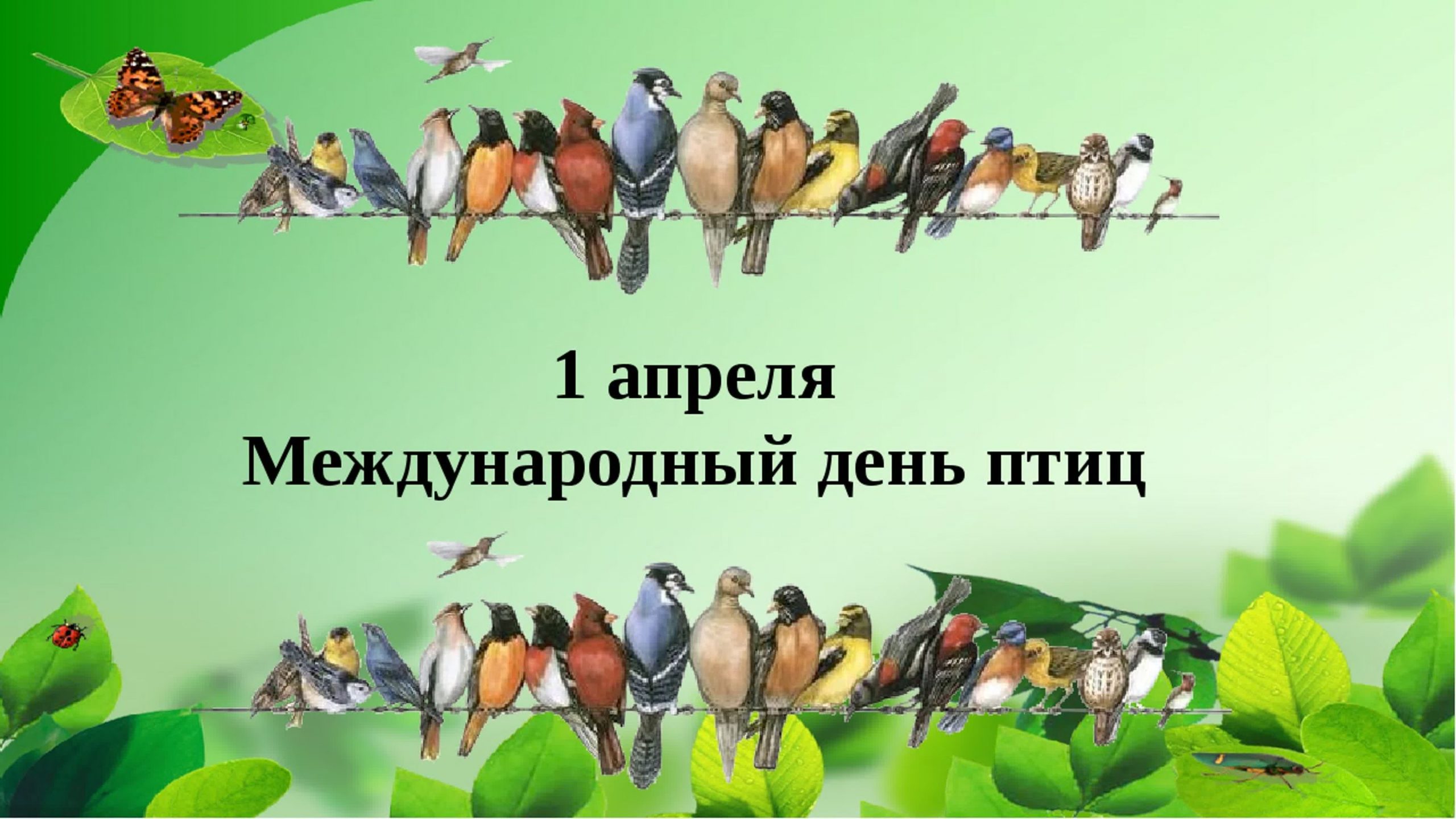 Международный день птиц.