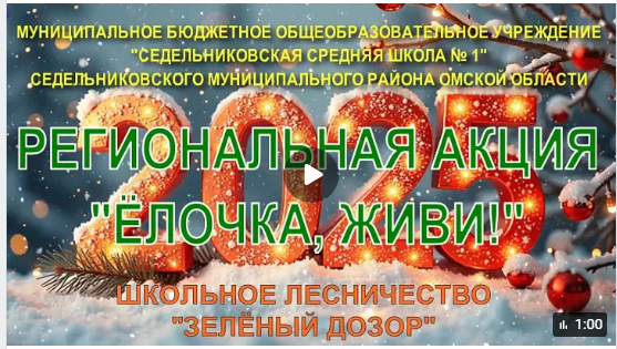 Региональная акция &amp;quot;Ёлочка, живи!&amp;quot;.
