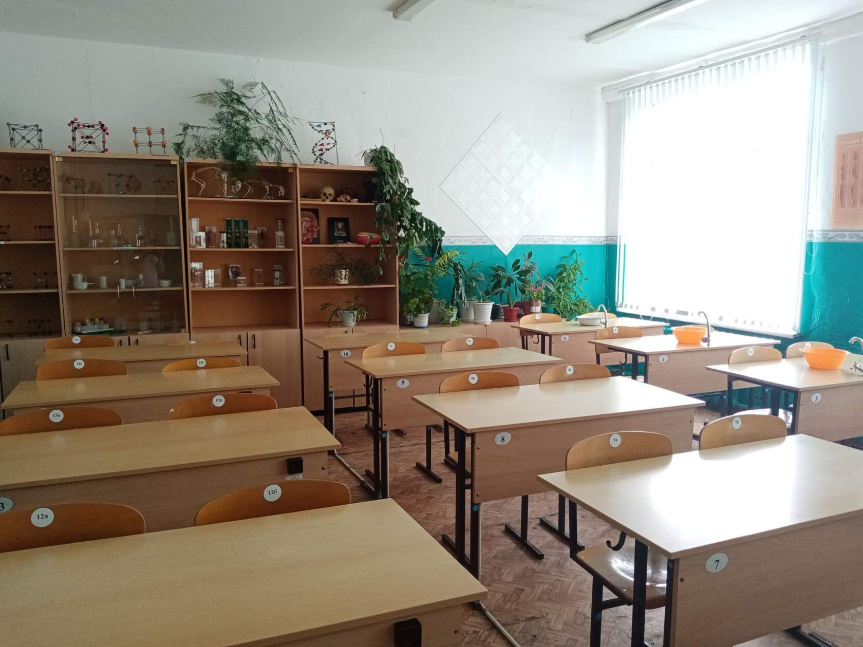 учебный кабинет (биология, химия) учебный кабинет (биология, химия)